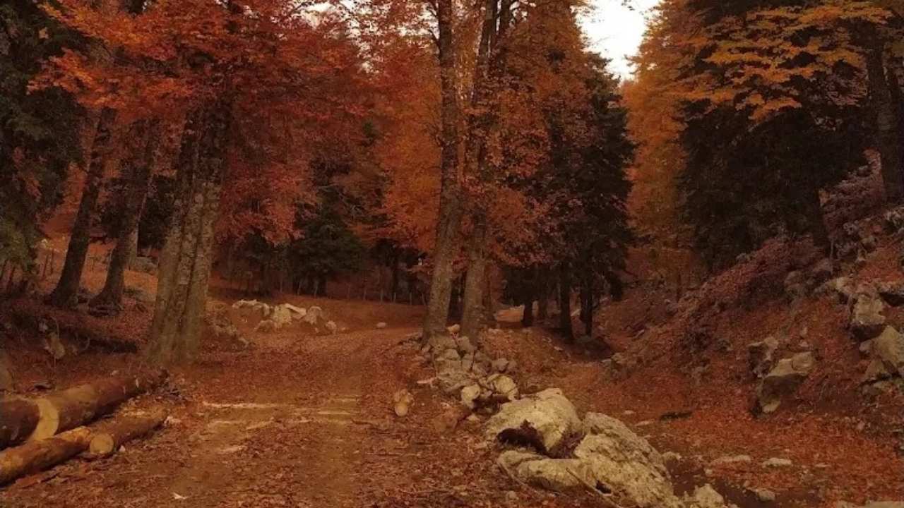 Adana Ve Osmaniye'nin Paylaşamadığı O Yer (2)