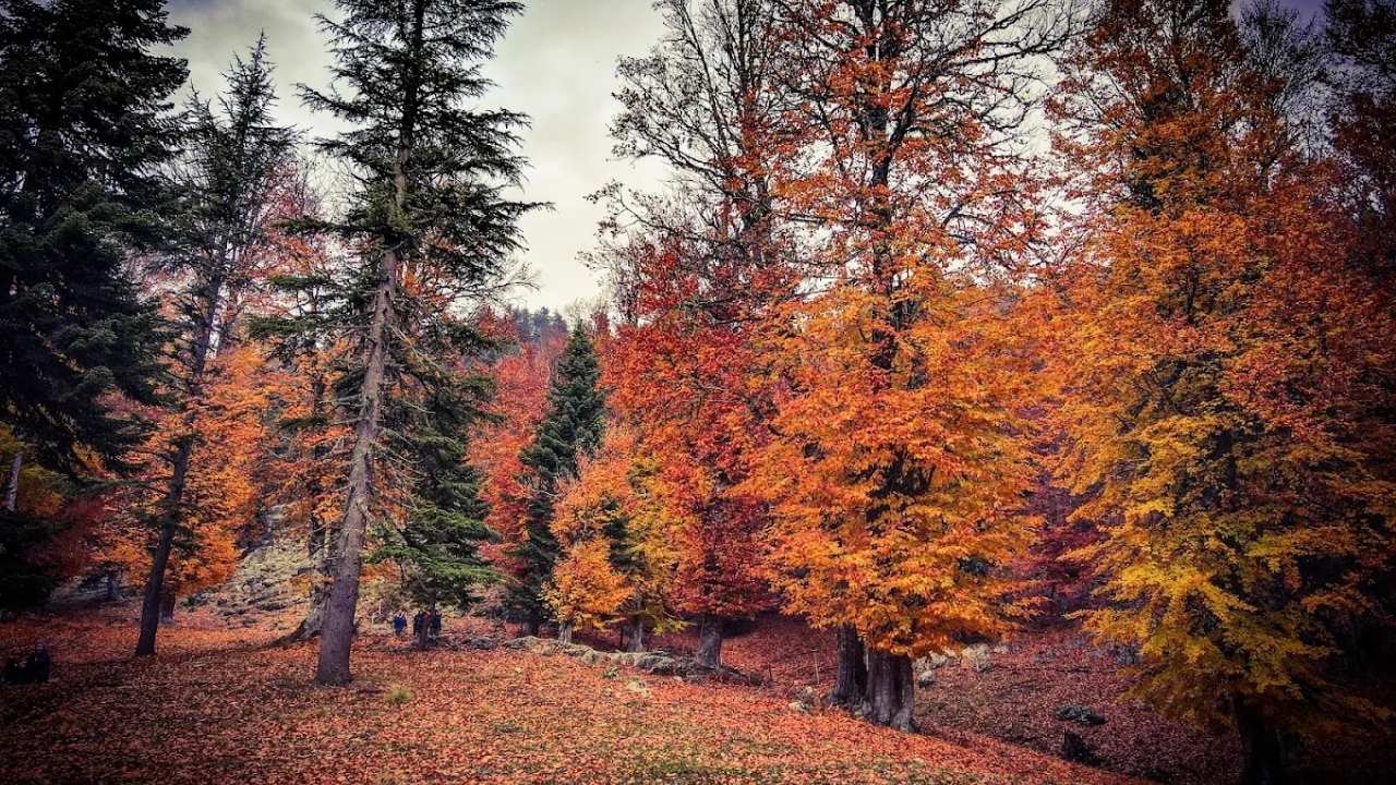 Adana Ve Osmaniye'nin Paylaşamadığı O Yer (3)