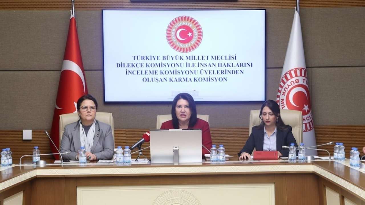 Ak Parti Osmaniye Milletvekili Derya Yanık'ın Başkanlığında Kamu Denetçisi Alt Komisyonu Kuruldu (1)