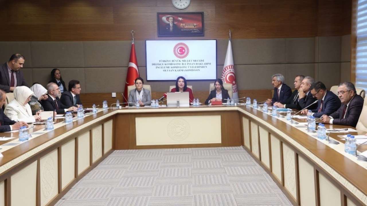 Ak Parti Osmaniye Milletvekili Derya Yanık'ın Başkanlığında Kamu Denetçisi Alt Komisyonu Kuruldu (2)