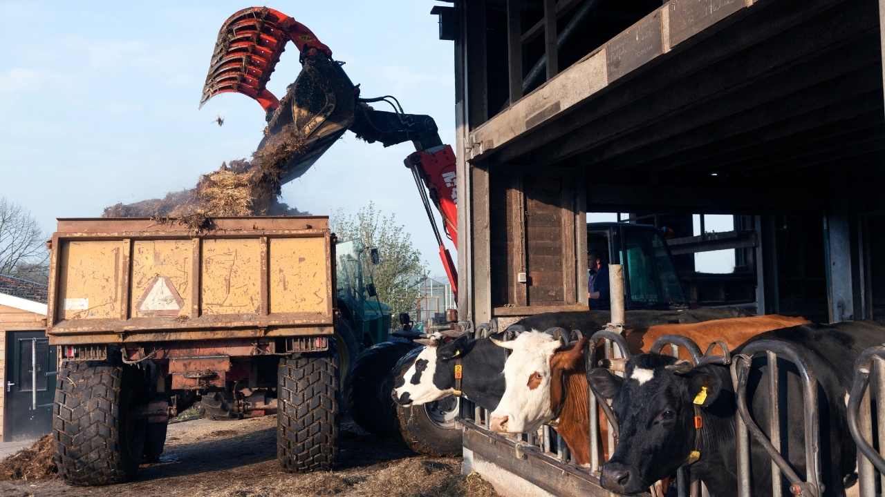 Çatak Barajı, Osb, Hızlı Tren (4)