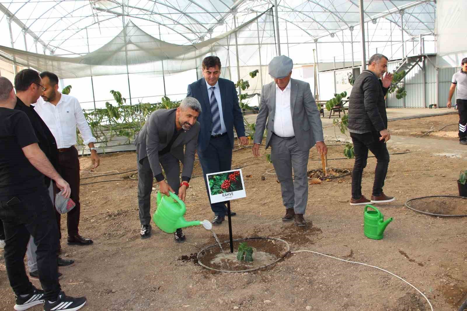 Dünya Bunu Konuşacak! Türk Kahvesi Artık Sadece Adıyla Değil, Üretimiyle De Türk! 1