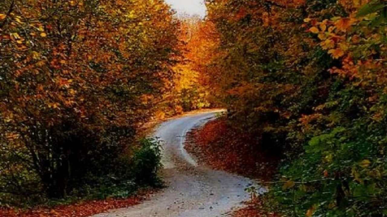 Düziçi Dumanlı Yaylası’nda Yaprak Dökümü Festivali Başlıyor (3)