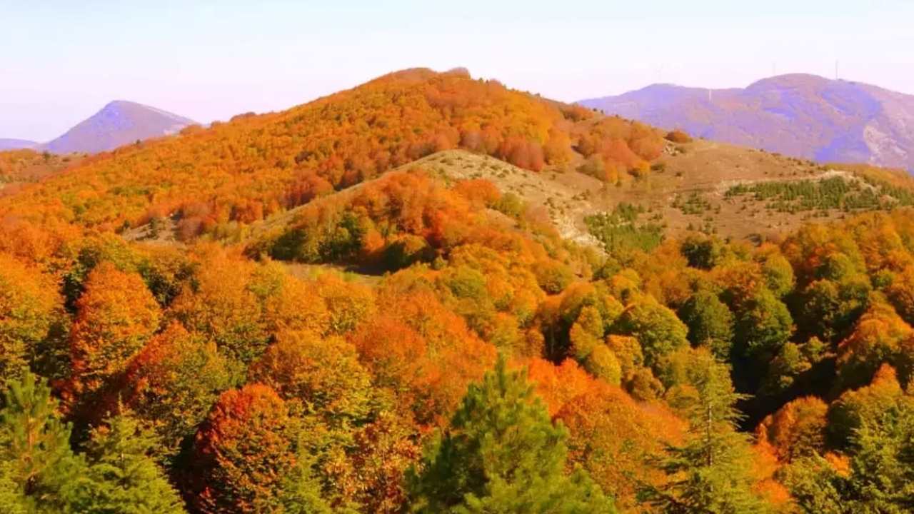 Düziçi Dumanlı Yaylası’nda Yaprak Dökümü Festivali Başlıyor (5)