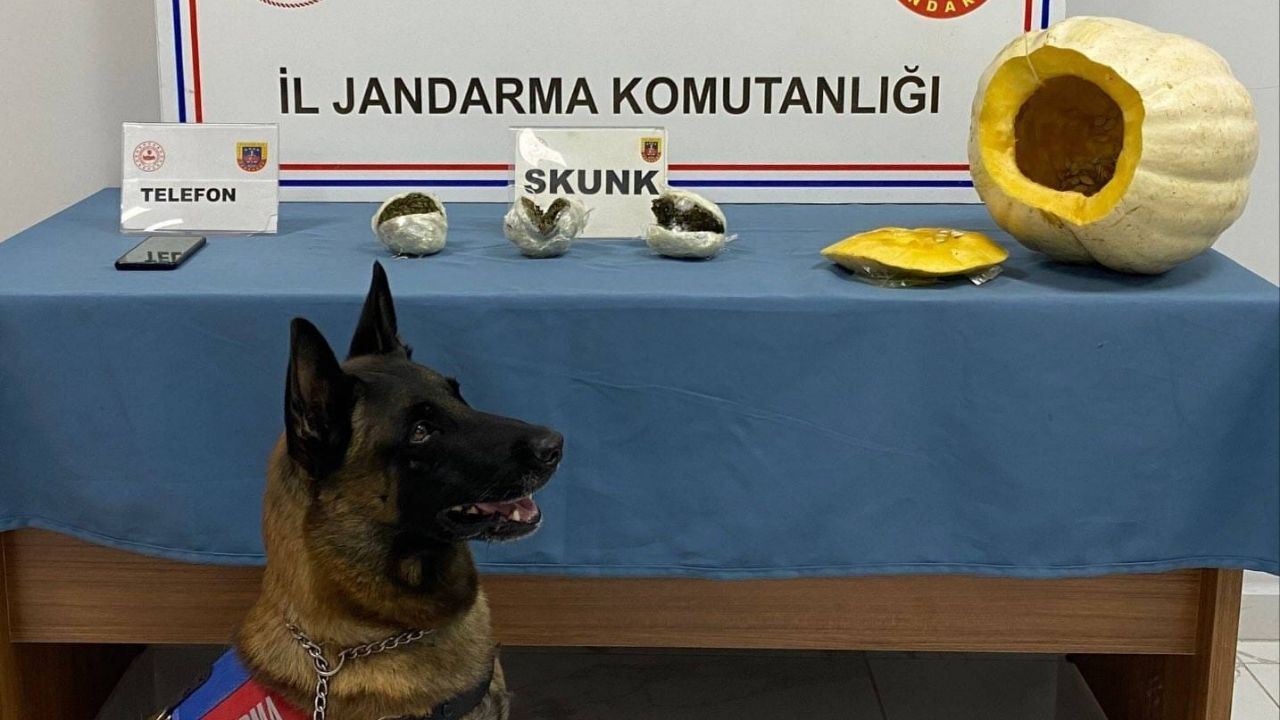 Il Jandarma Komutanlığı-2