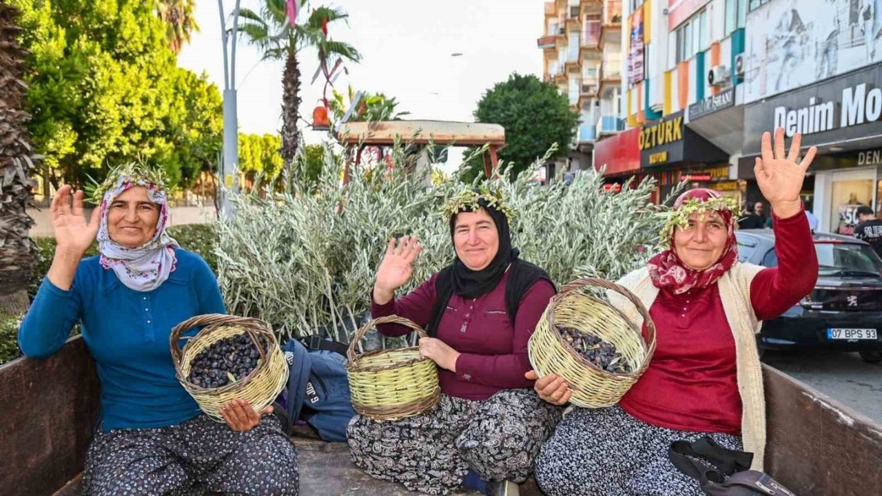 Manavgat Yeşil Zeytin
