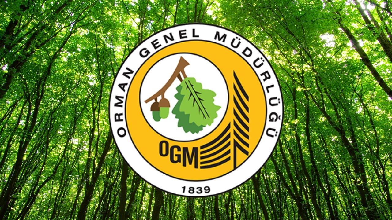 Ogm