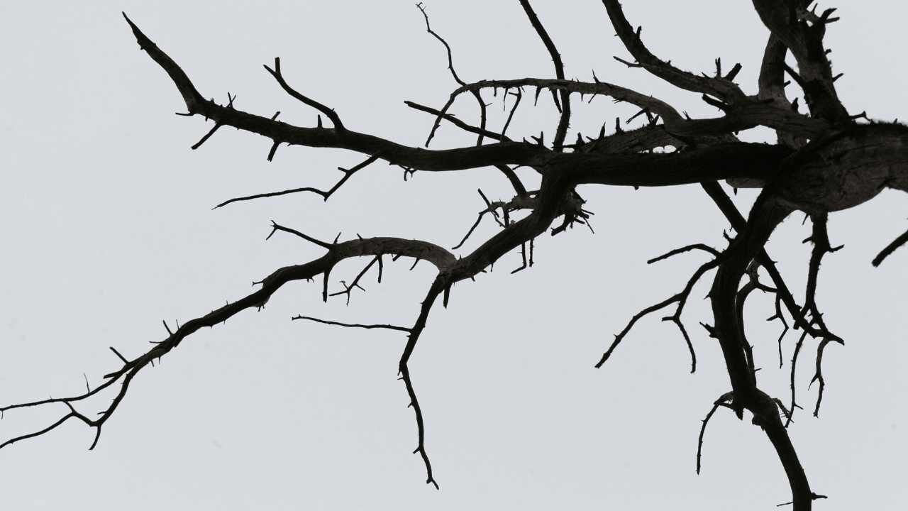 Osmani̇ye 37 Yılda Nasıl Değişti (4)