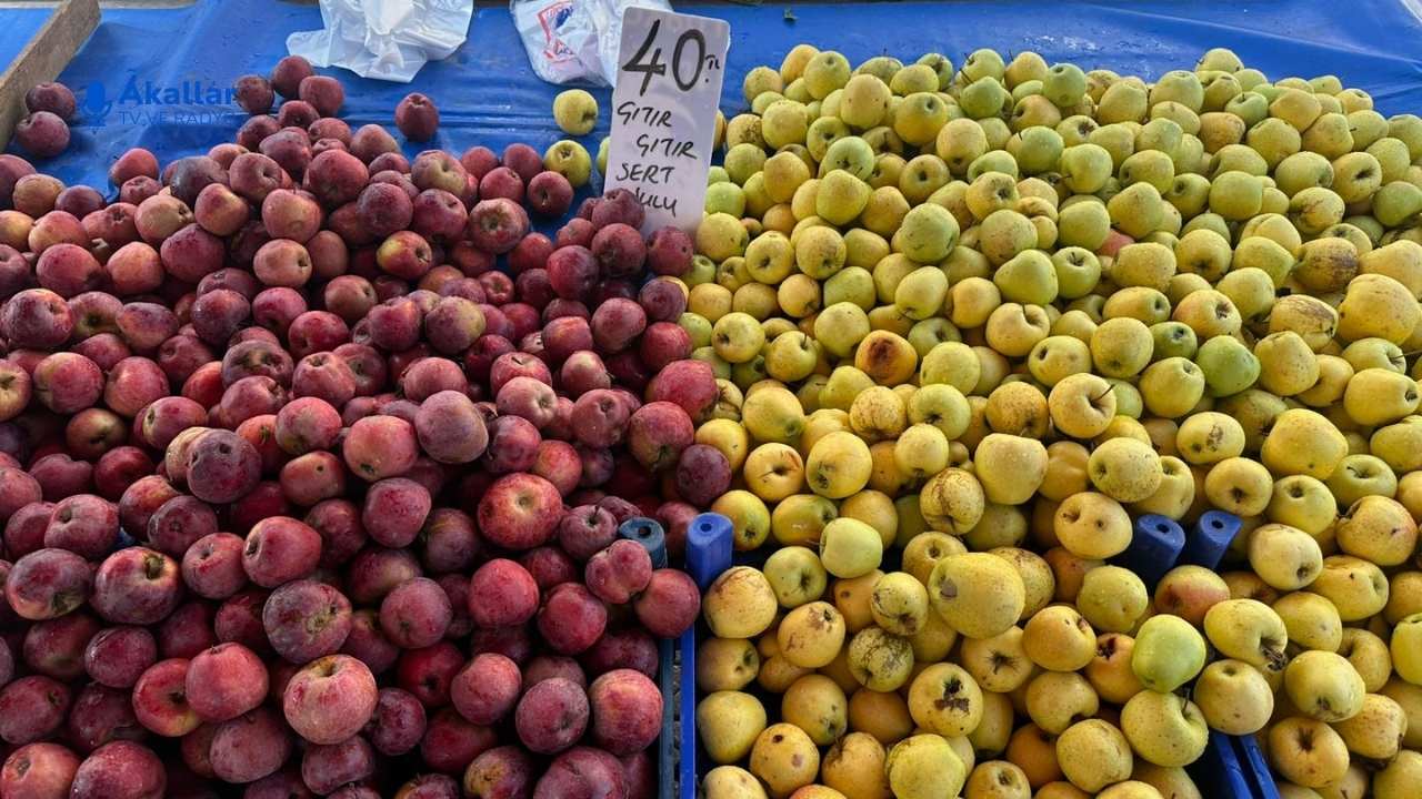 Osmaniye Çarşamba Pazarı’nda Muz Sevindirdi, Mantar Düşündürdü; Fiyat Hesabı Yapan Vatandaşlar Pazar Tezgahlarında Akıllı Alışverişe Yöneldi. (2)