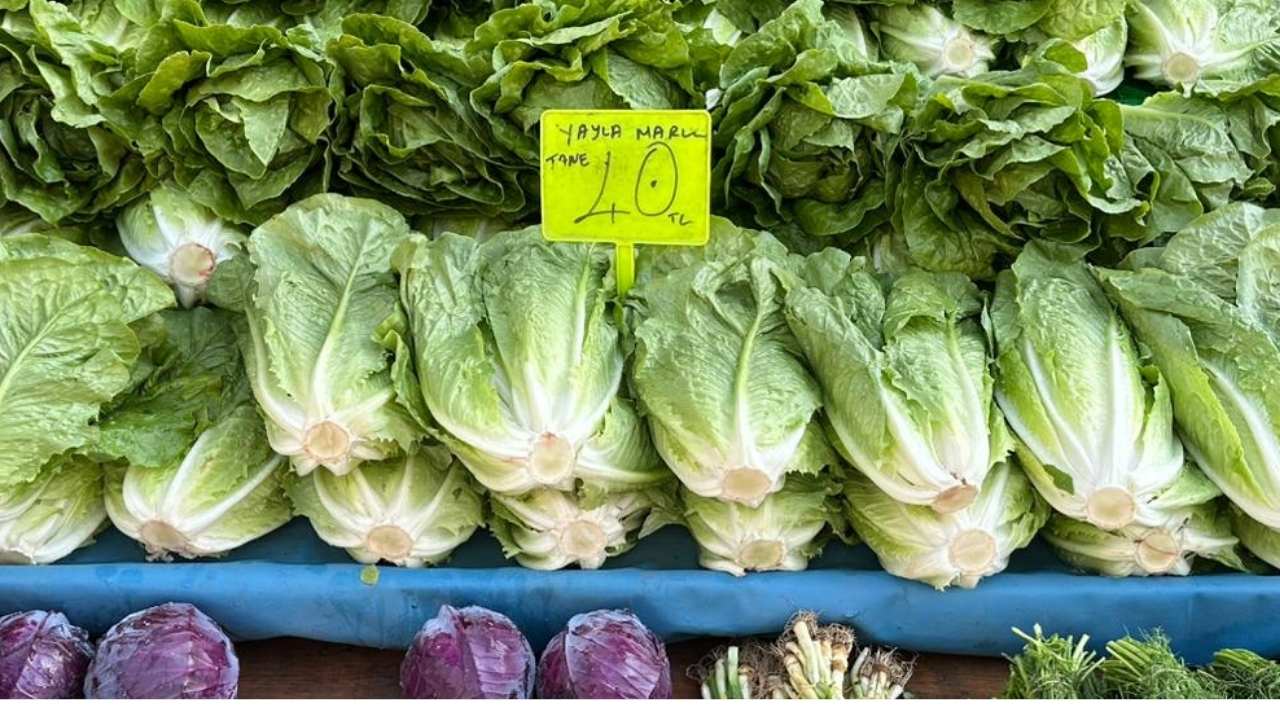 Osmaniye Çarşamba Pazarı’nda Muz Sevindirdi, Mantar Düşündürdü; Fiyat Hesabı Yapan Vatandaşlar Pazar Tezgahlarında Akıllı Alışverişe Yöneldi. (7)