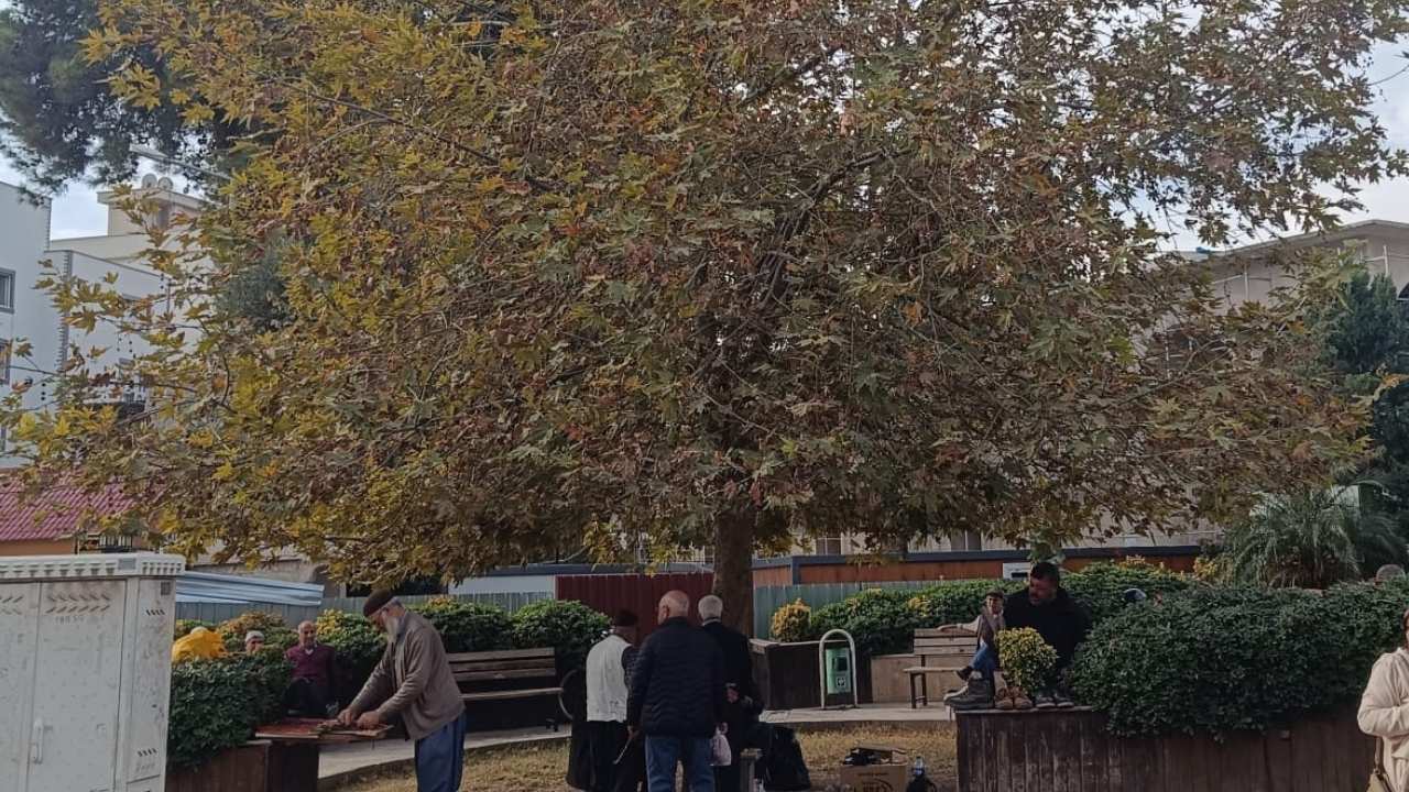 Osmaniye Çınarlı Kahve, Yeniden Hayat Buluyor (3)