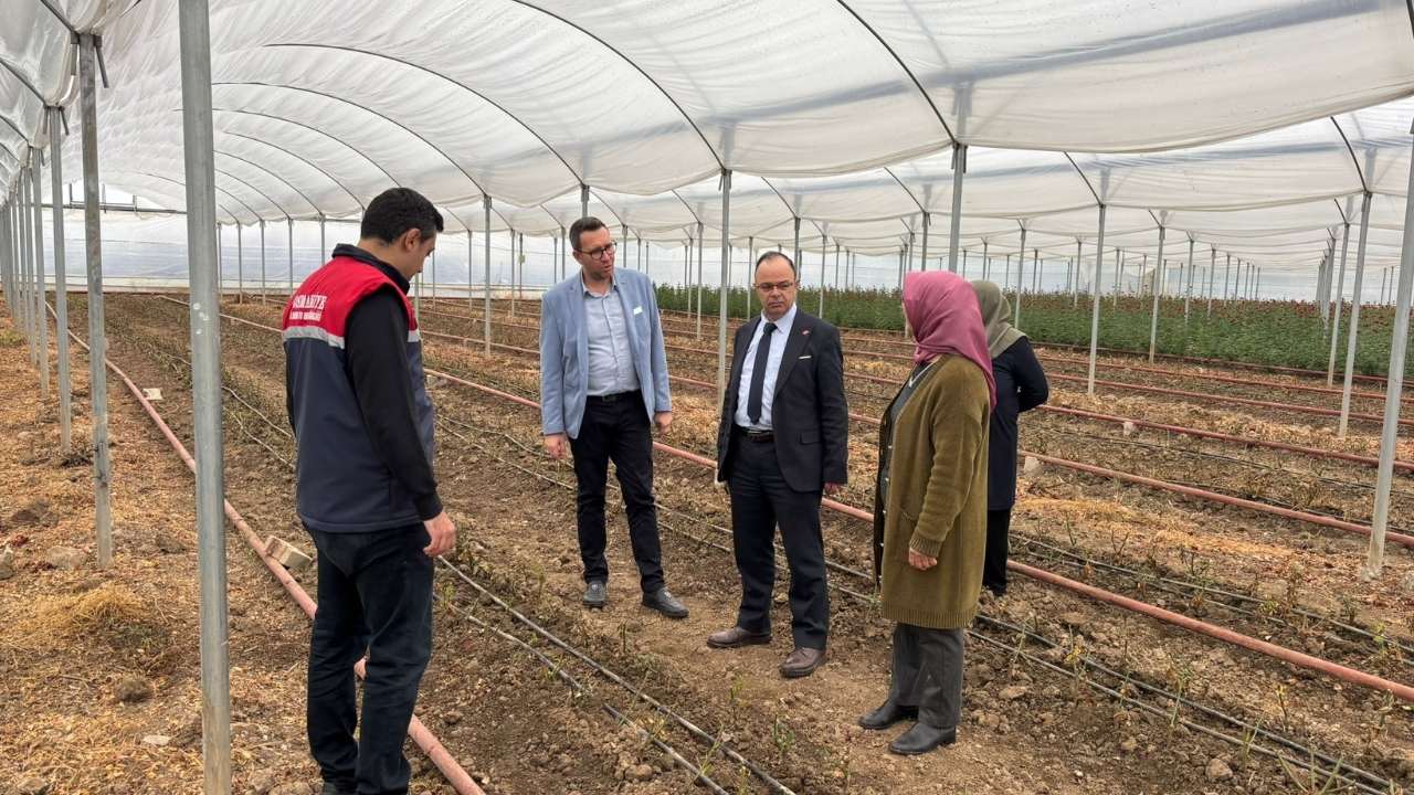 Osmaniye Köy Ekonomisini Canlandıracak Hamle