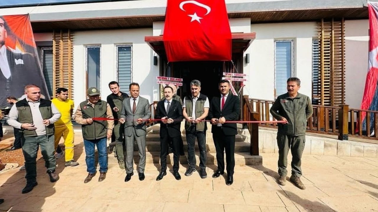 Osmaniye Orman Işleri 2