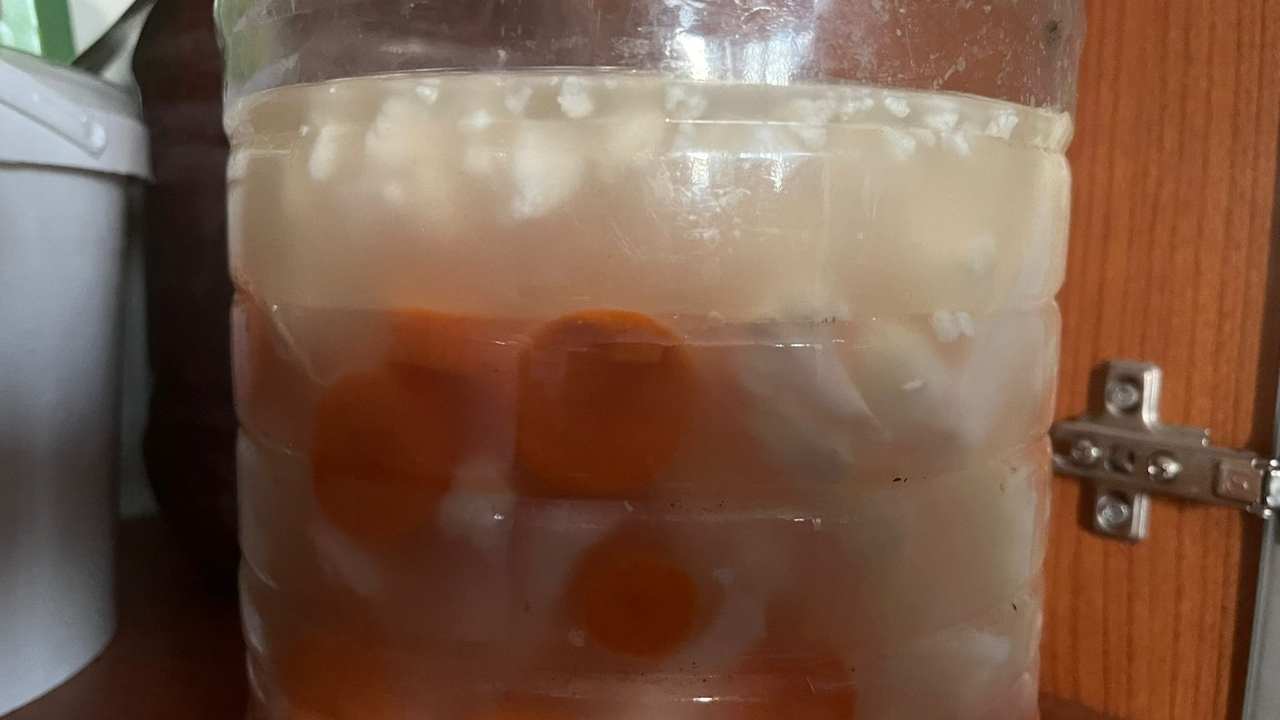 Osmaniye Usulü Karnabahar Ve Havuç Turşusu Sırları (2)