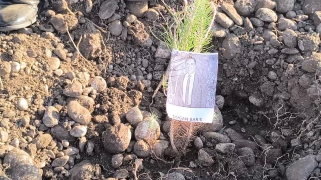 Osmaniye’de Şehit Ve Depremde Hayatını Kaybeden Öğretmenler Için “Başöğretmen Atatürk Hatıra Ormanı” Oluşturuldu