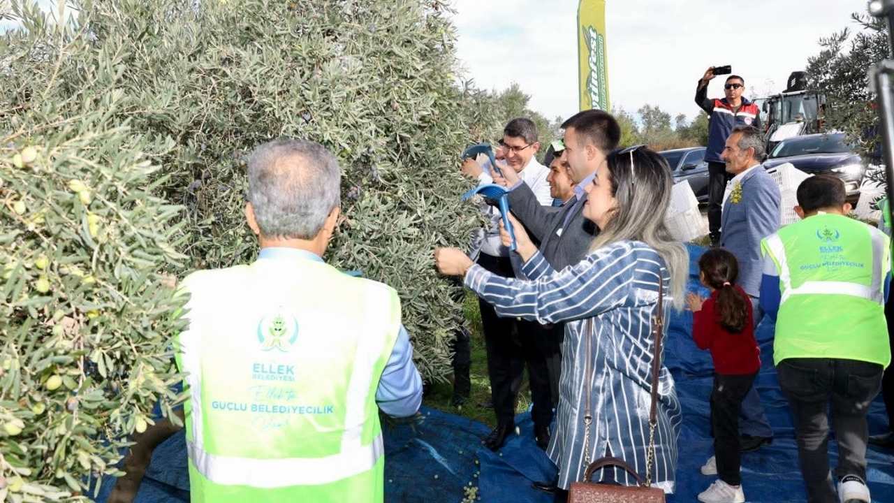 Osmaniye'de Yeşil Altın Festivali Başladı (4)