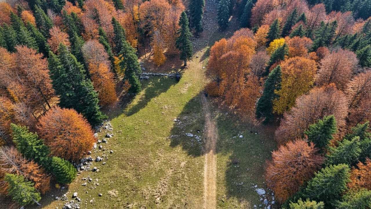 Toklu Yaylası Osmaniye’nin Saklı Doğa Cenneti (2)