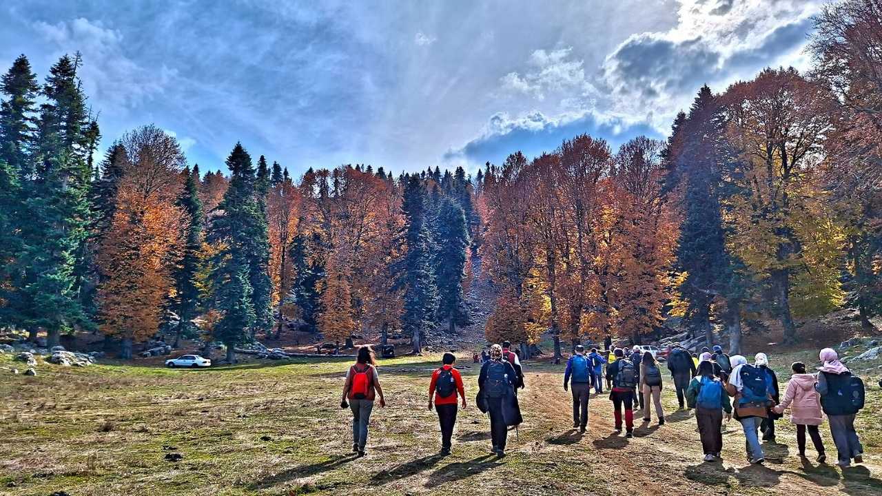Toklu Yaylası Osmaniye’nin Saklı Doğa Cenneti (3)