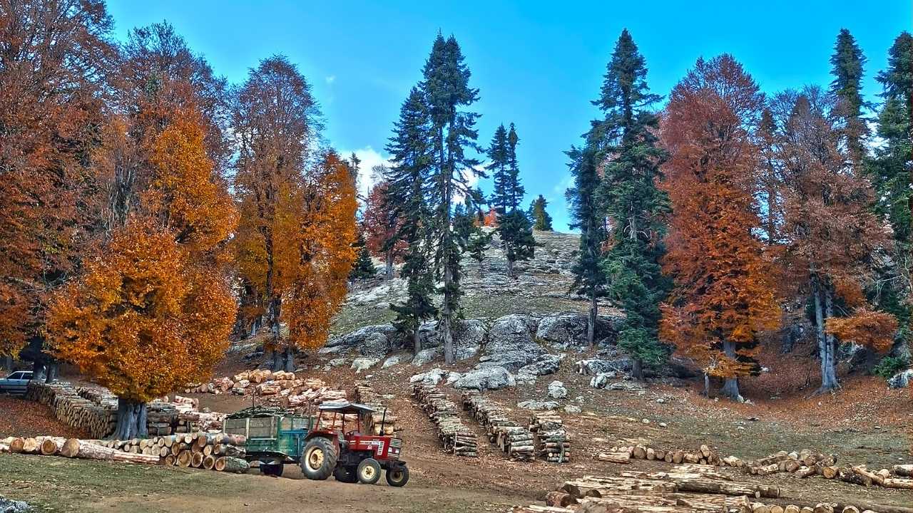 Toklu Yaylası Osmaniye’nin Saklı Doğa Cenneti (5)
