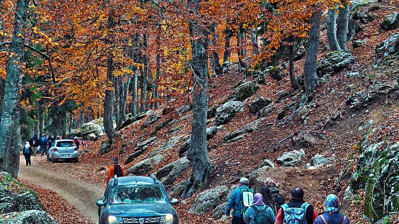 Toklu Yaylası Osmaniye’nin Saklı Doğa Cenneti (7)