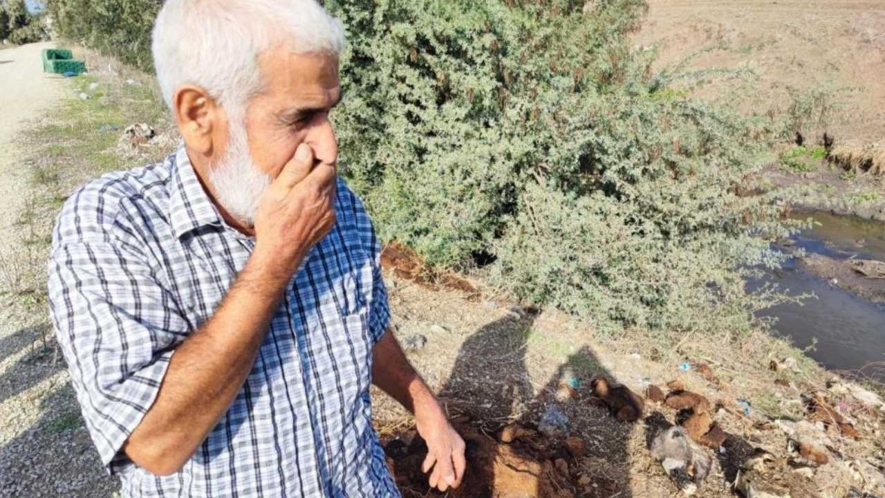 Adana’da Dere Yatağına At Ve Eşek Kalıntıları Atıldı Mahalleli Isyanda (4)