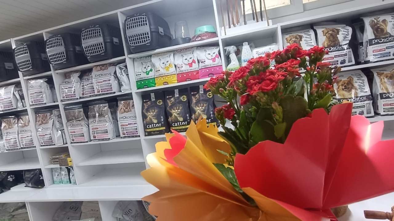 Ali Nuri Yiğit Ada Veteriner 2 (2)