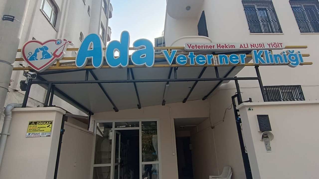 Ali Nuri Yiğit Ada Veteriner 2 (3)