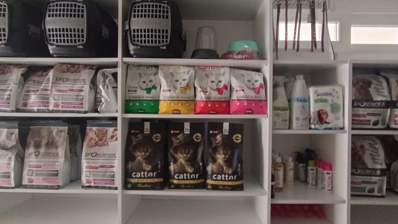 Ali Nuri Yiğit Ada Veteriner 2 (4)