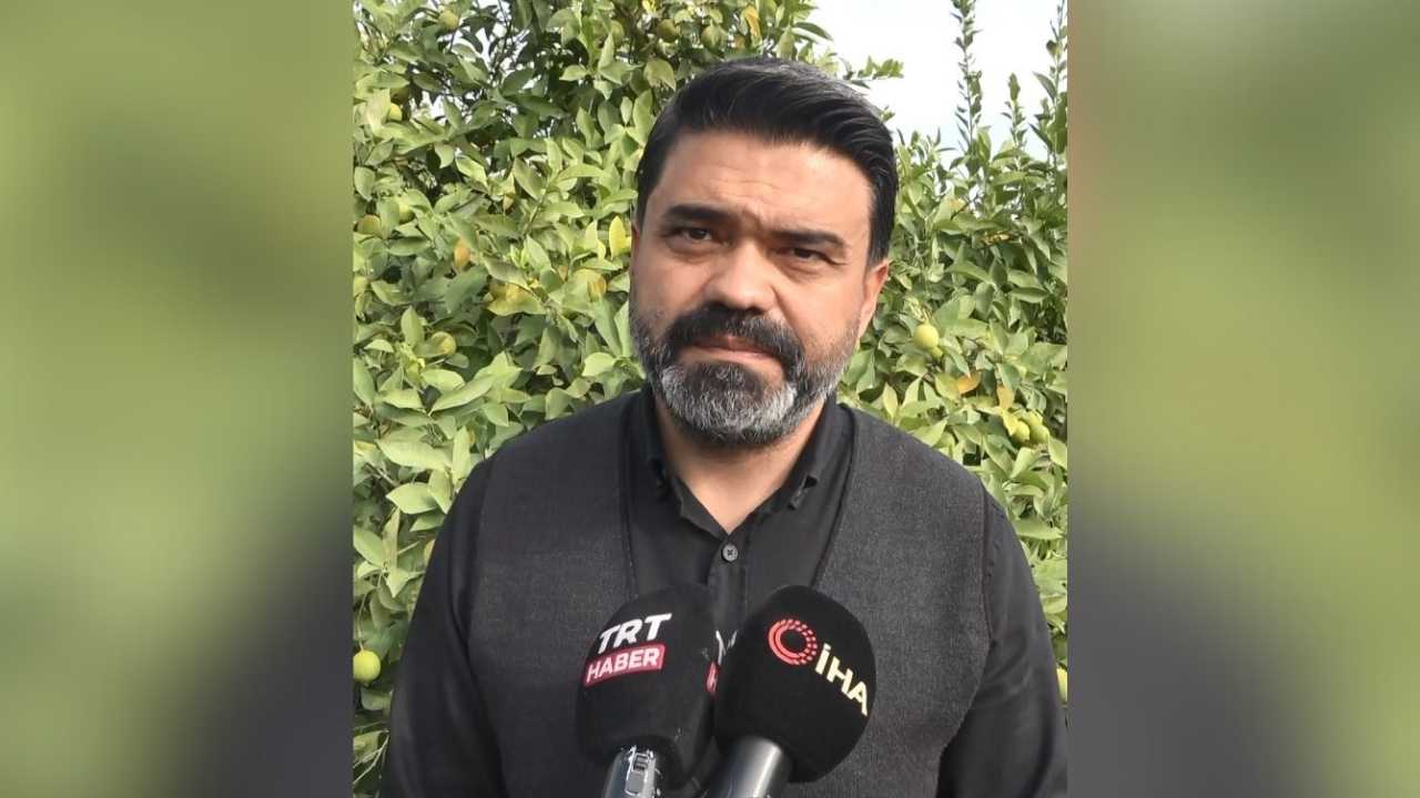 Binlerce Ailenin Geçim Kapısı Olan Limonun Başkentinde Hasat Zamanı (2)