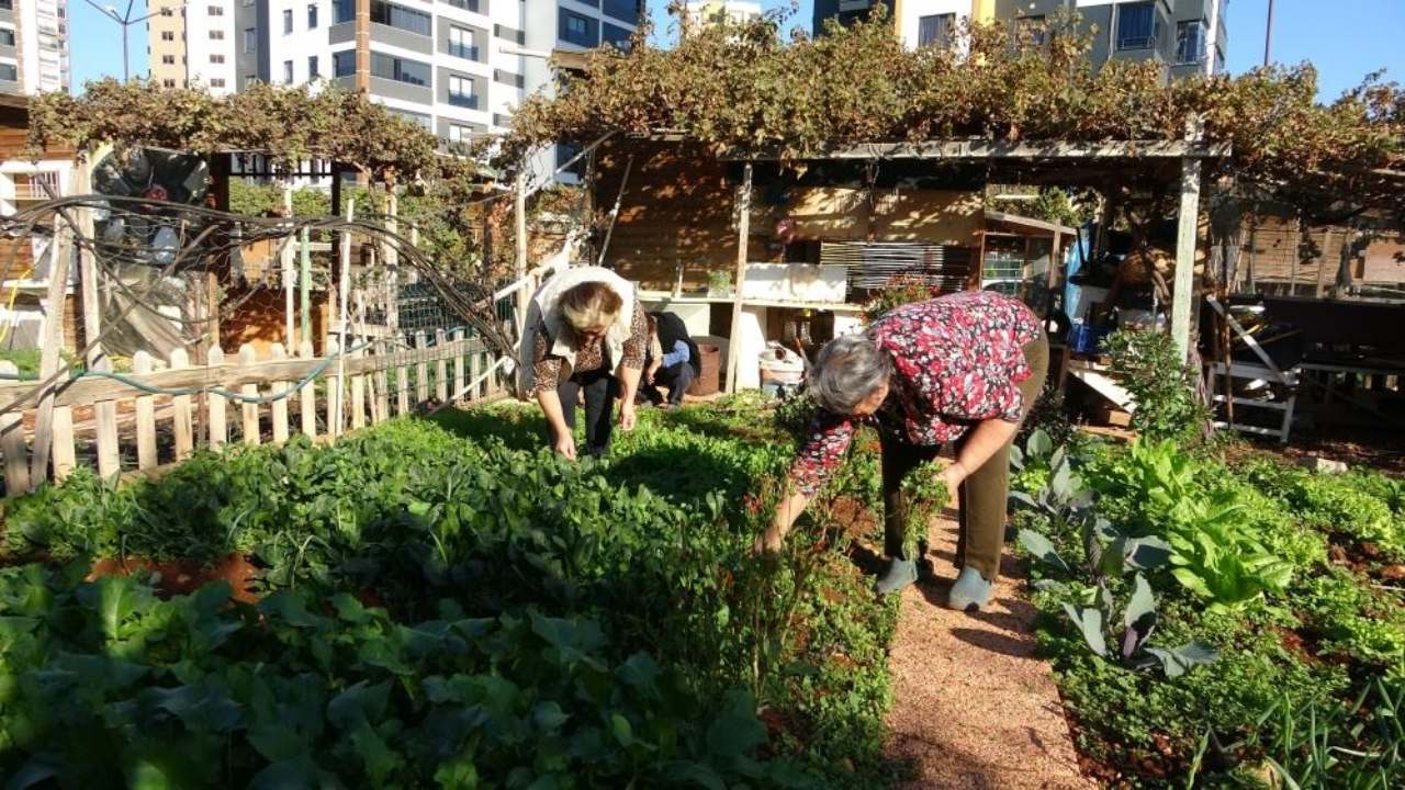 Chp'li Mezitli Belediyesi Hobi Bahçesi Krizi Rehabilitasyon Alanı Yıkılacak Mı (2)