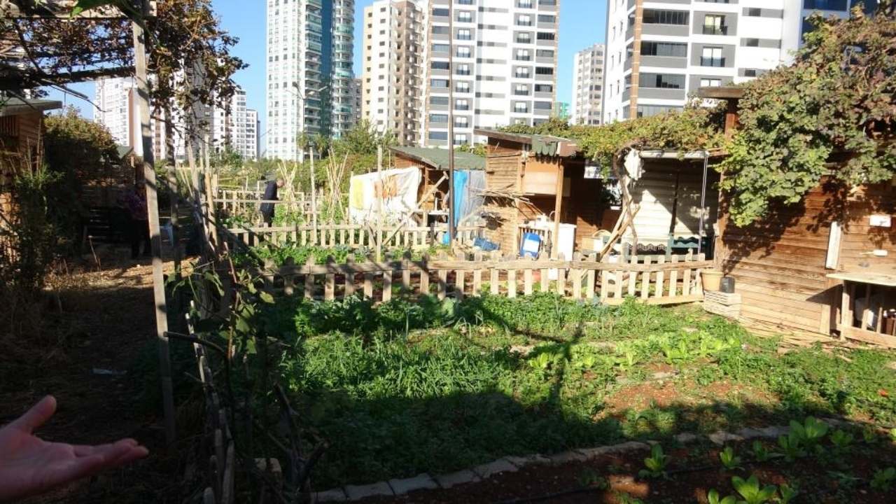 Chp'li Mezitli Belediyesi Hobi Bahçesi Krizi Rehabilitasyon Alanı Yıkılacak Mı (3)