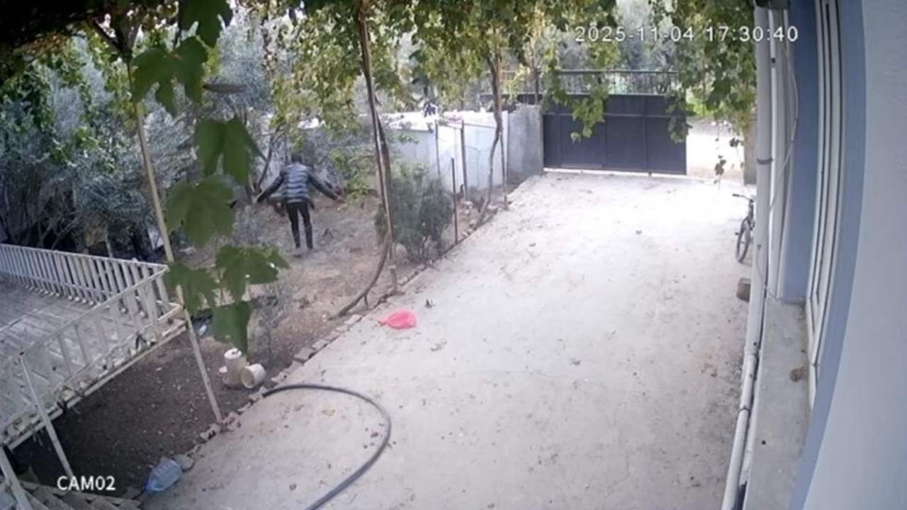 Güvenlik Kameraları Sayesinde Osmaniye'de Seri Kümes Hırsızına Şok Baskın (1)-1