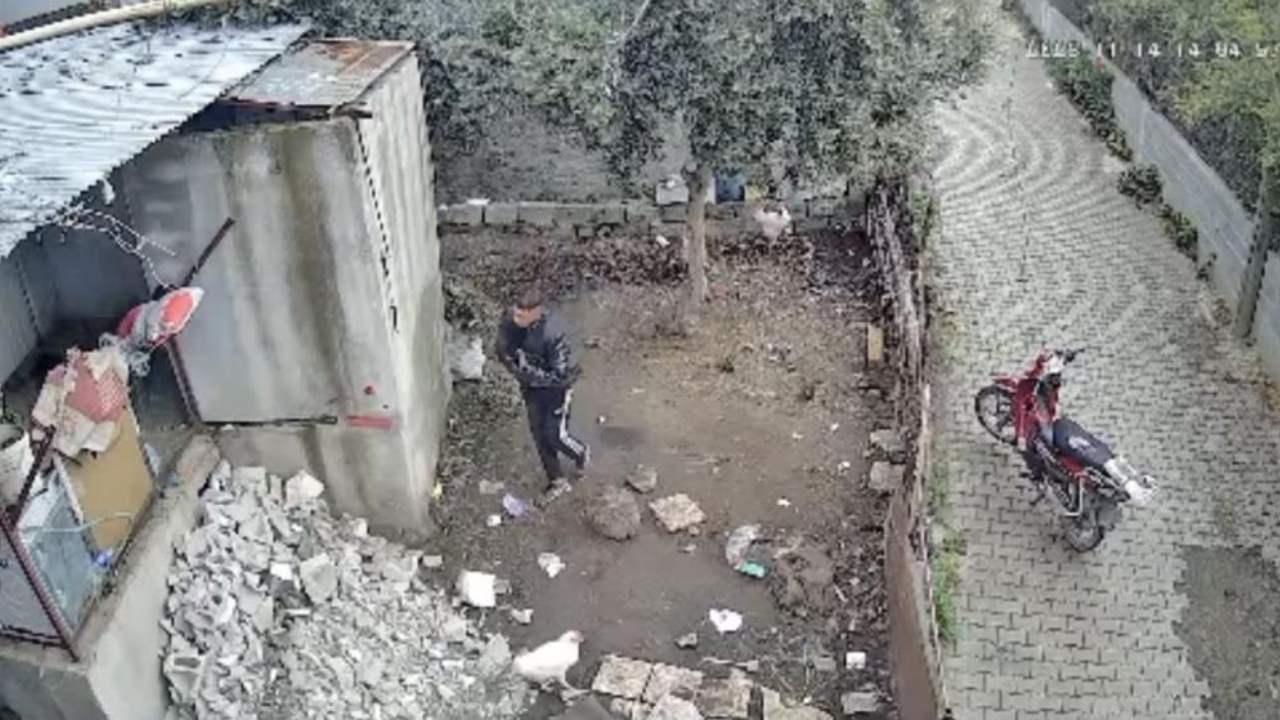 Güvenlik Kameraları Sayesinde Osmaniye'de Seri Kümes Hırsızına Şok Baskın (2)