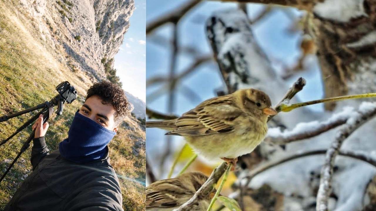 Kahramanmaraş Yaban Hayatı Fotokapan Görüntüleri-2