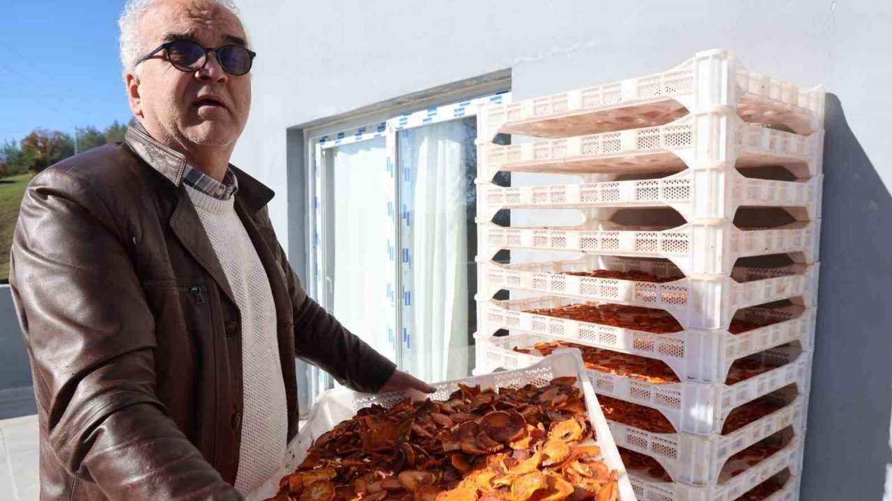 Kozan’da Köylüler Üretti Avrupa’ya İhraç Edildi.-1