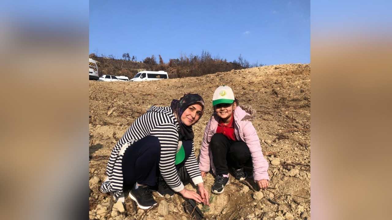 Minik Eller Yanan Ormanı Yeşertiyor 2 Bin 500 Fidan Toprakla Buluştu (2)