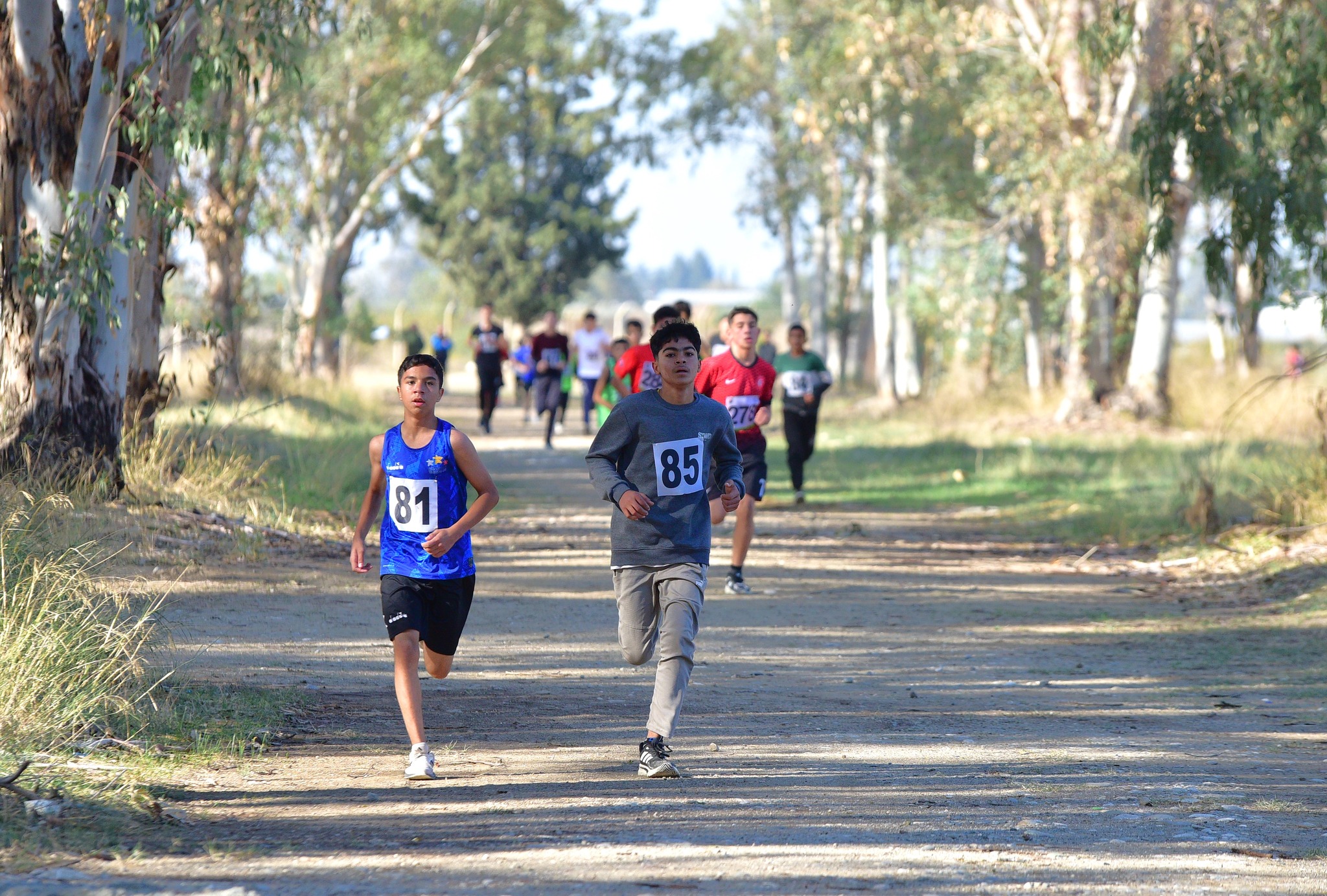 Okul Sporları Kros Müsabakaları Osmaniye’de Tamamlandı-1