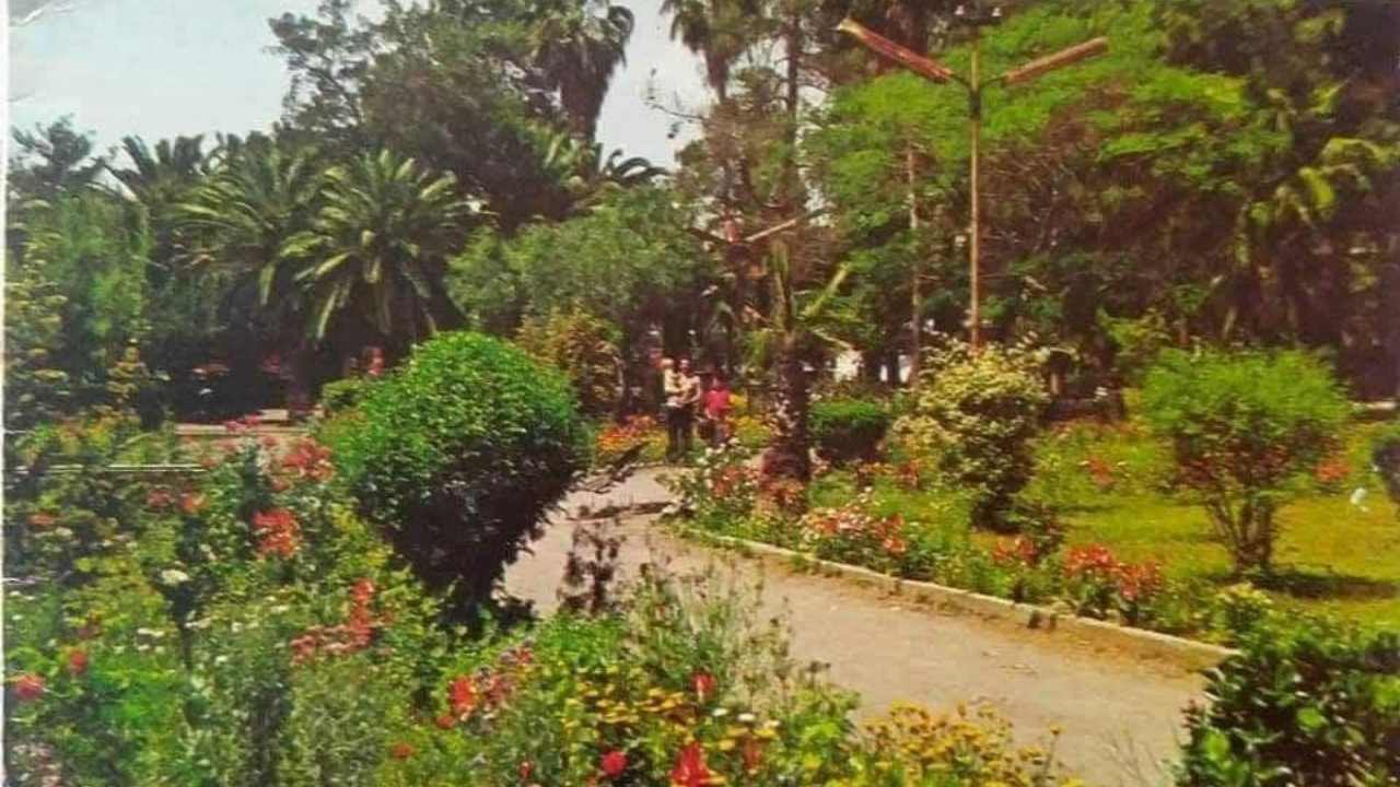 Osmaniye Karaoğlanoğlu Parkı'nın Betonlaşan Yüzü (2)