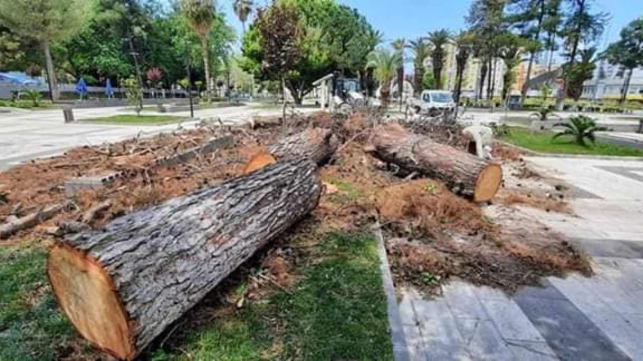 Osmaniye Karaoğlanoğlu Parkı'nın Betonlaşan Yüzü (5)