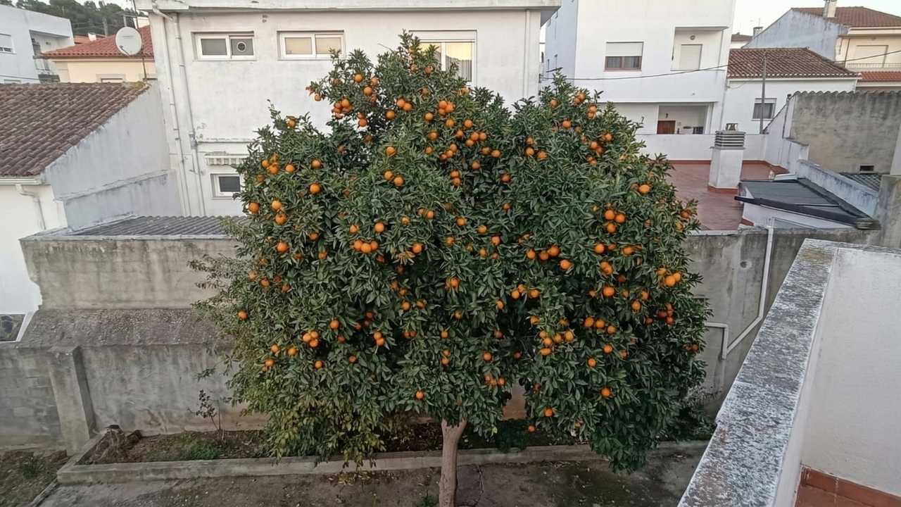 Osmaniye Sokaklarında İyilik Meyve Veriyor (2)