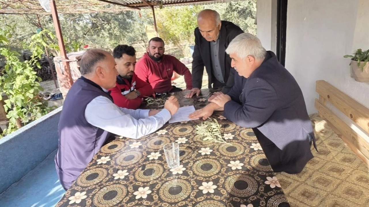 Osmaniye Zeytin Üreticisi Dikkat! Pamuklu Bit Alarmı! (1)