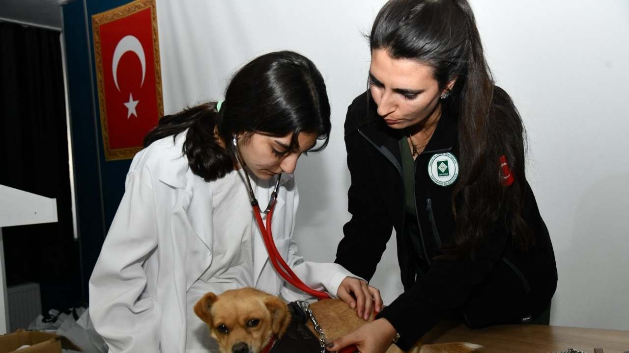 Osmaniye'de Geleceğin Hayvan Dostları Yetişiyor (1)-1