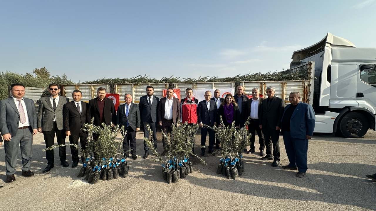 Osmaniye’de Hibeli Zeytin Fidanı Dağıtıldı 2025 Hedefi Güçleniyor (3)