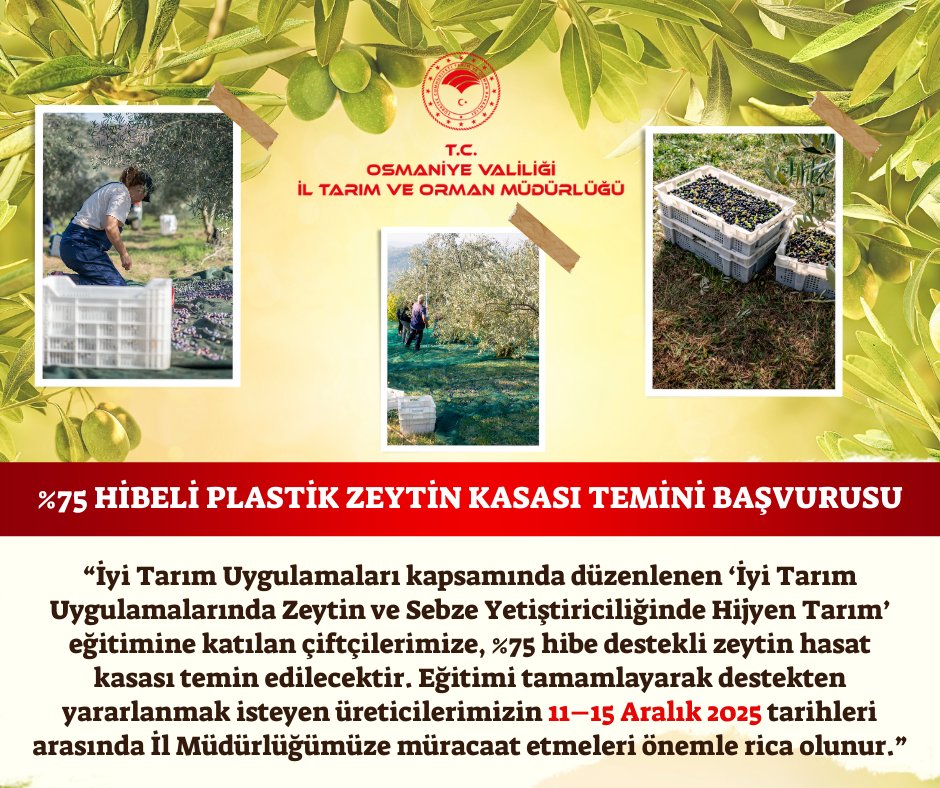 Osmaniye'de Zeytin Üreticilerine Müjde! %75 Hibe Desteğiyle Hijyenik Hasat Kasası Verilecek-1