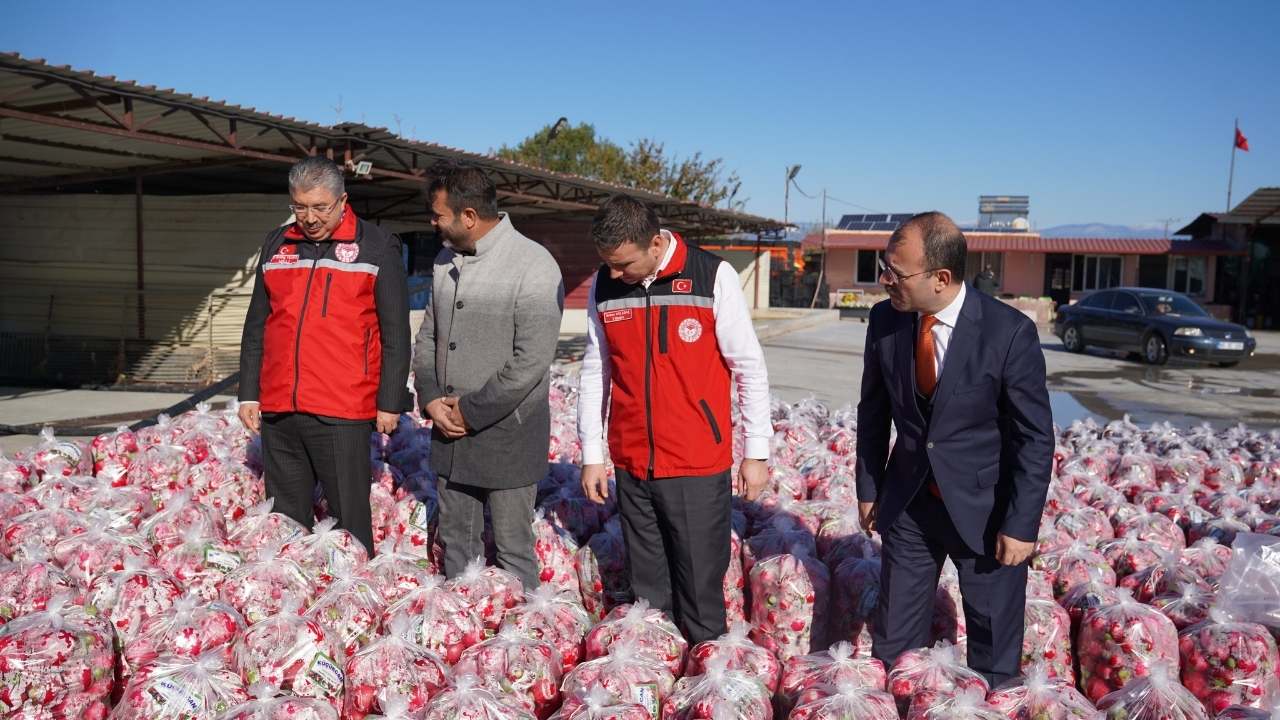 Osmaniye’nin Beyaz Altını'na Modern Tesis Vurgusu (1)