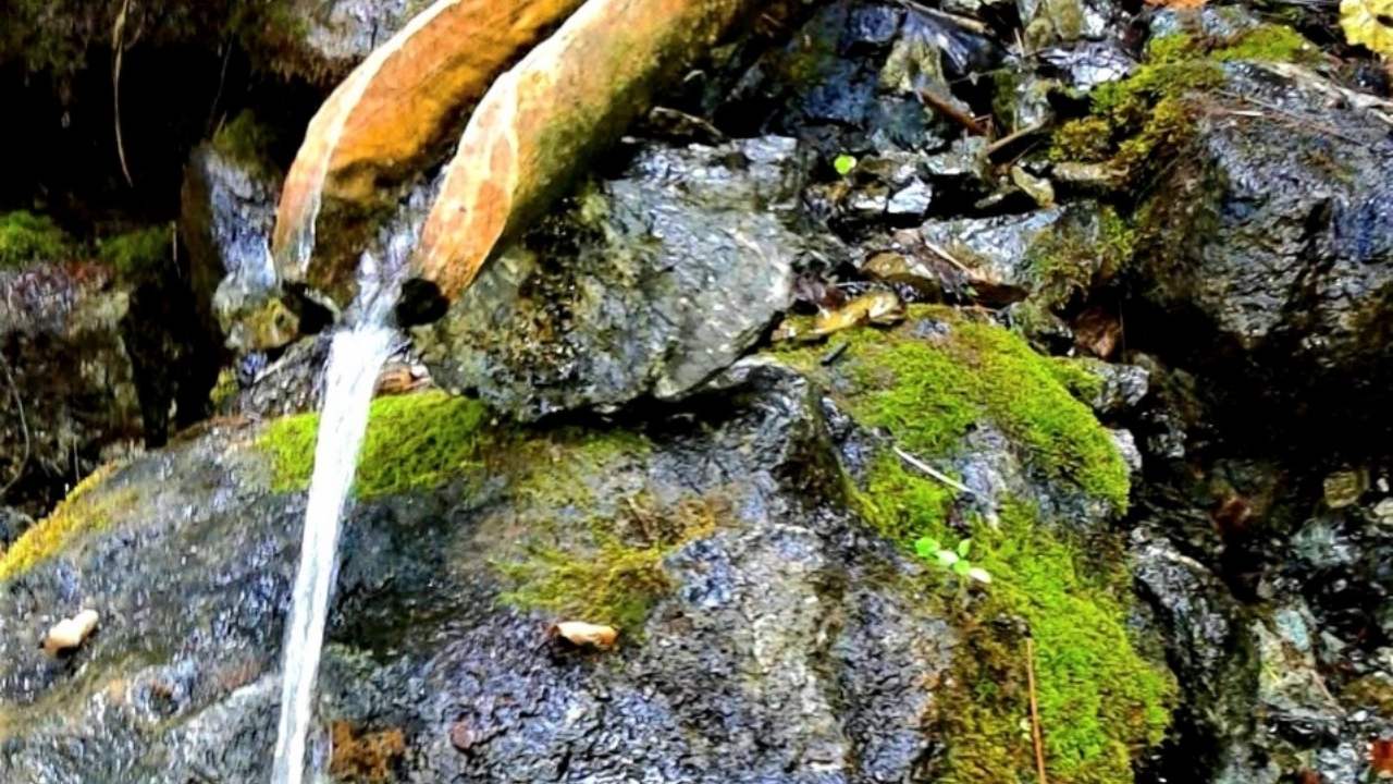 Osmaniye'nin Görünmeyen Yüzü Karacalar Köyü'nden Yaylalara Sonbahar Geçişi (1)-1