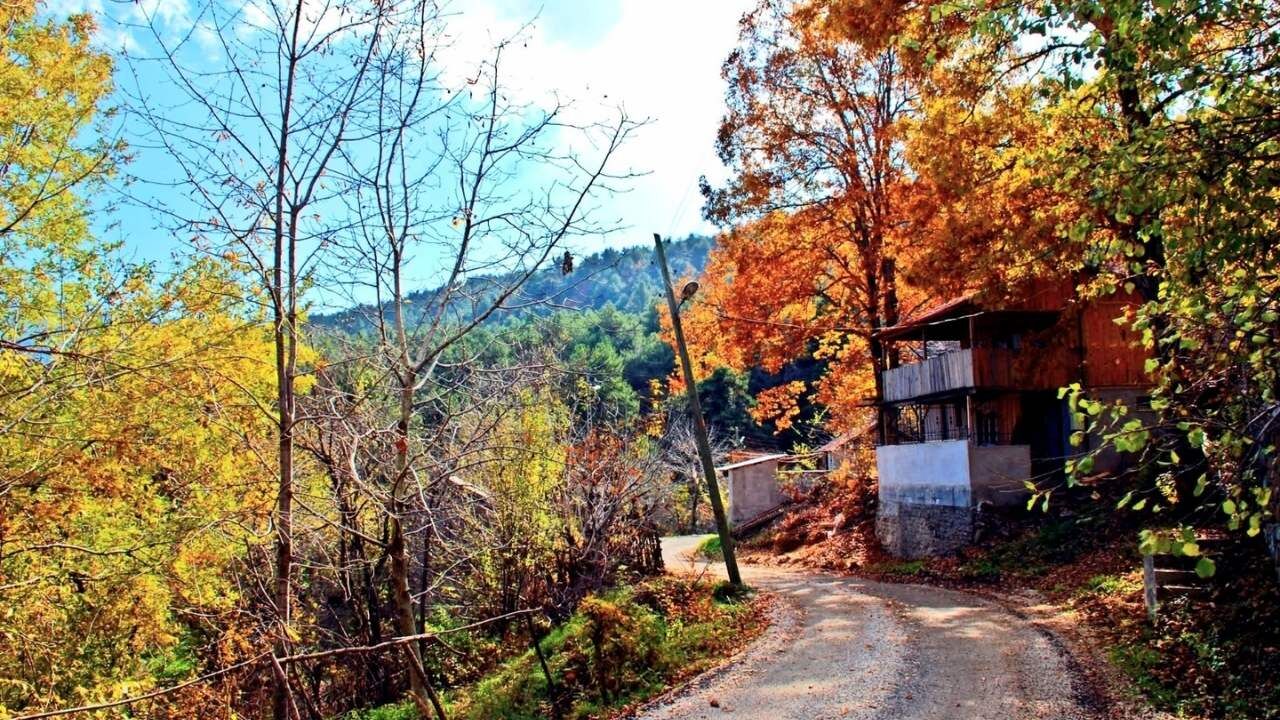Osmaniye'nin Görünmeyen Yüzü Karacalar Köyü'nden Yaylalara Sonbahar Geçişi