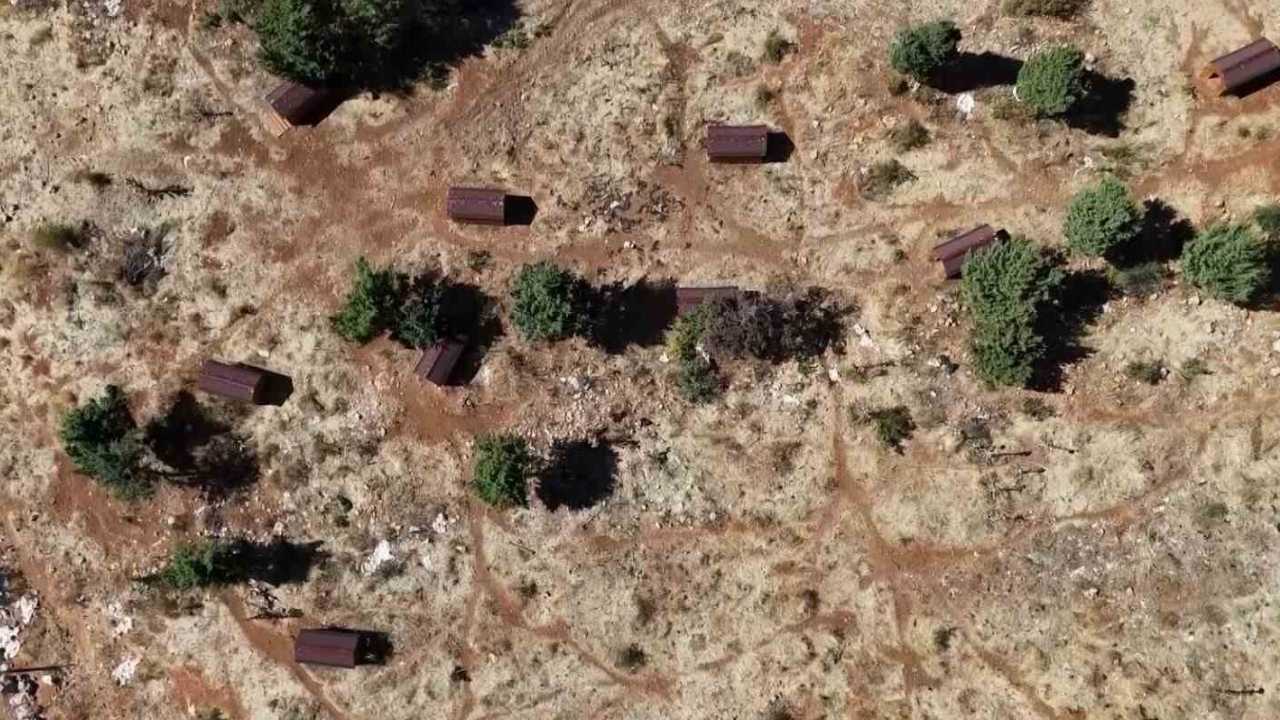 Sokak Hayvanları Sıcak Yuvaya Kavuştu (1)