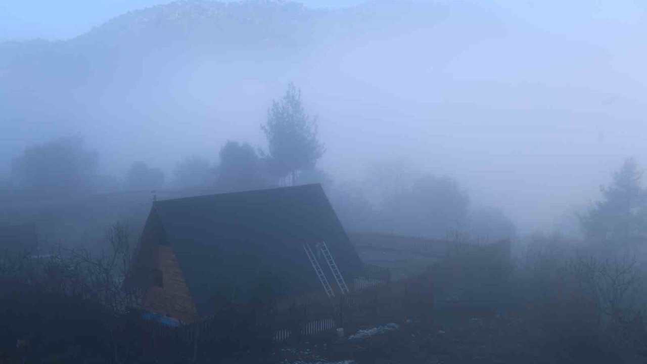 Adana Feke’de Sisle Örtülenen Ormanlar Büyüledi (1)