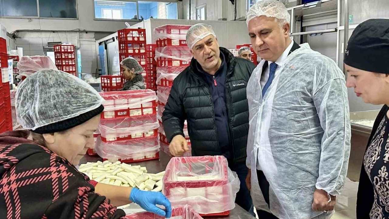 Antakya’da Süt Ürünleri Üreten Firma Denetlendi (1)